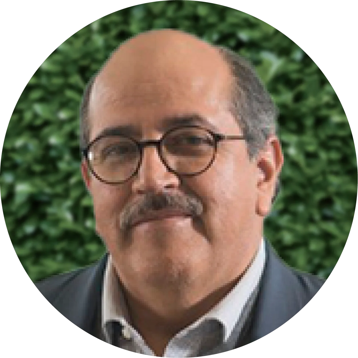 González Álvarez, Miguel Domingo