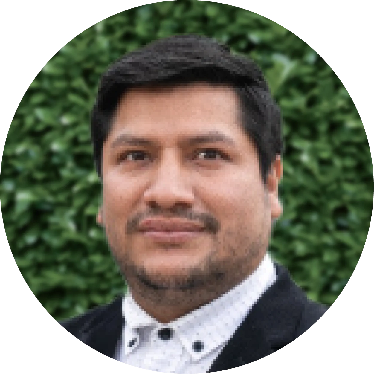 Mendieta Britto, Luis Alberto