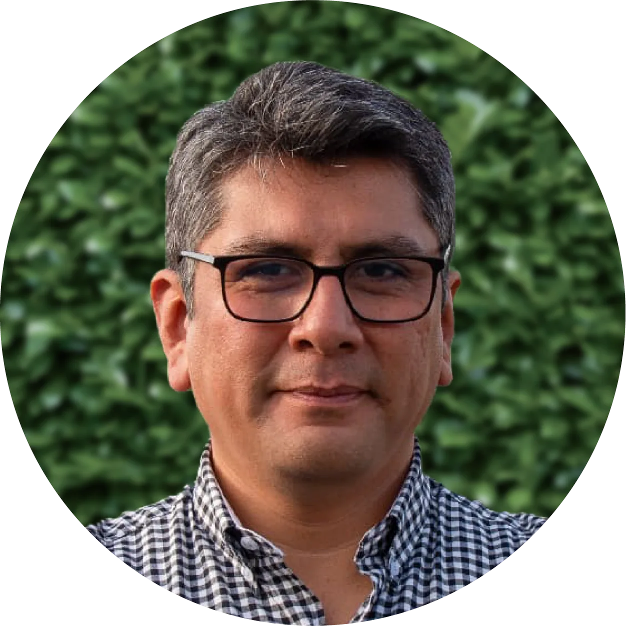 Milla Bravo, Marco Antonio