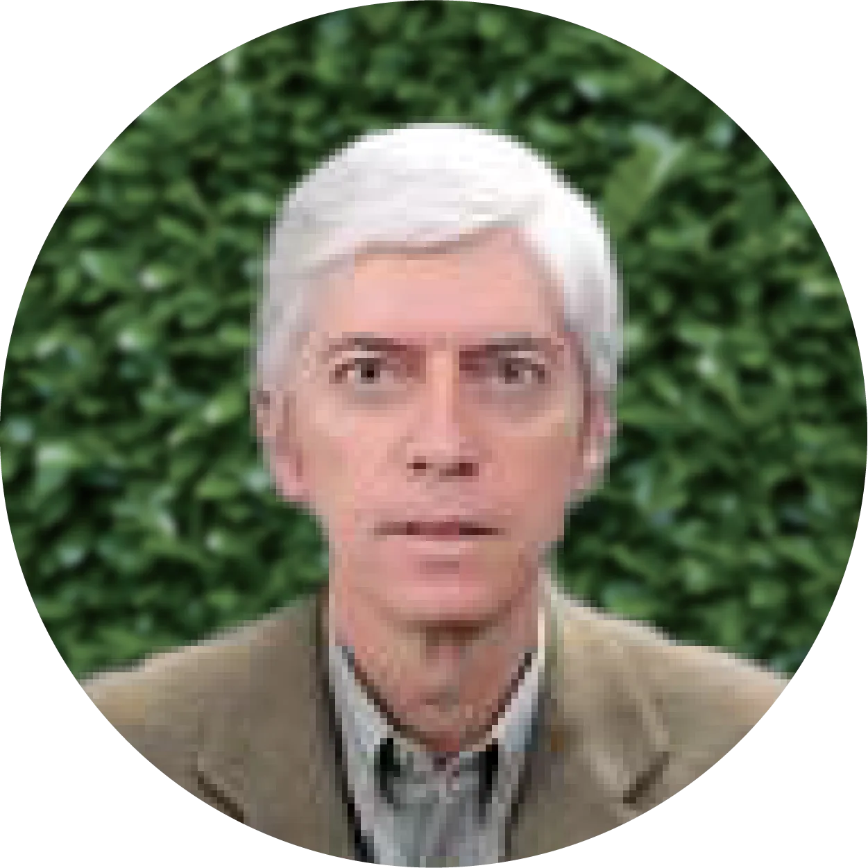 Montalbetti Solari, Juan Antonio Alejo