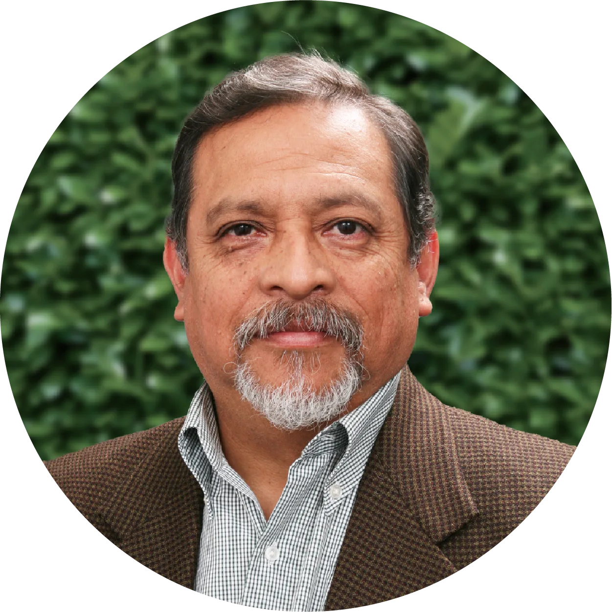 Rodriguez Hernandez, Jorge Antonio