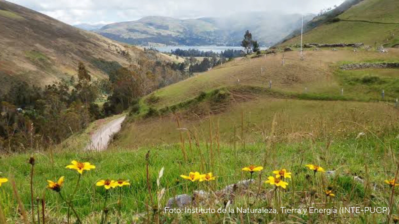 Día Mundial de la Ingeniería para el Desarrollo Sostenible. ¿Qué se trabaja desde Ingeniería PUCP?